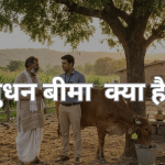 गाय और भैंस के लिए पशुधन बीमा सुरक्षा और डेयरी व्यवसाय संरक्षण